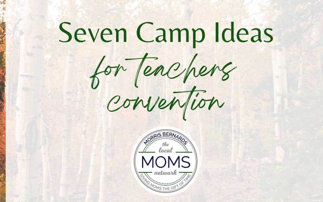 7 Day Camp Ideas for Teacher’s Convention